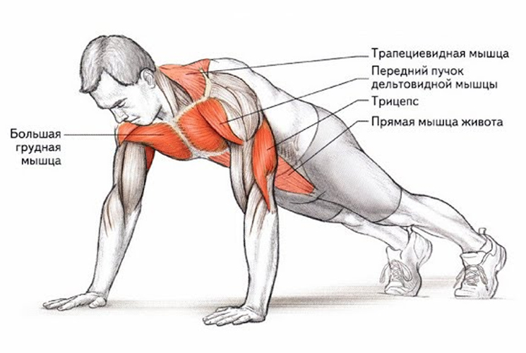 Отжимания