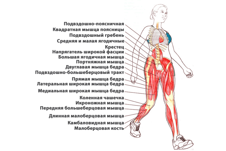 Шаги